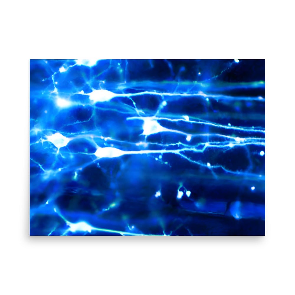 Posters issu de la recherche - Cellandart